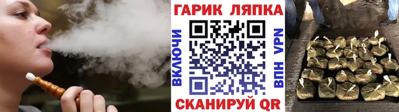 ГАШ Ice-O-Lator  Лобня 