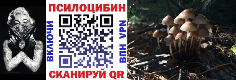 mega ссылки  Лобня  Псилоцибиновые грибы GOLDEN TEACHER 